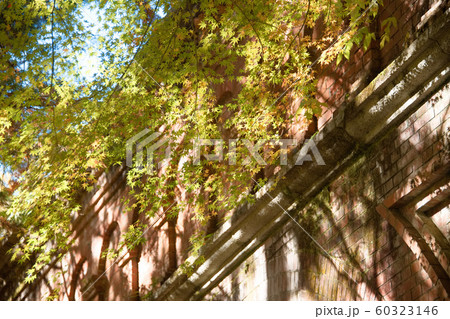 南禅寺 2019秋 南禅寺 2019秋 60323146