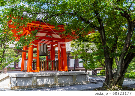 三十三間堂 京都 三十三間堂 京都 60323177