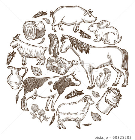 Livestock animals with farm meat and dairy products in circle 60325202