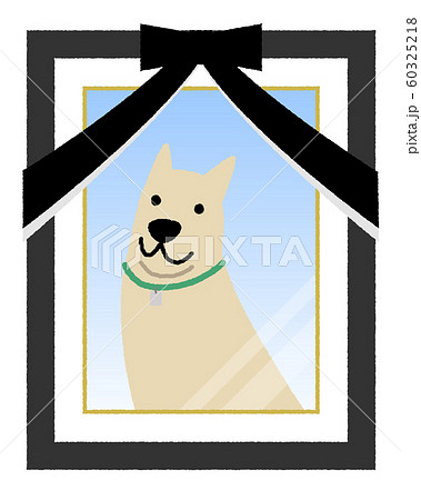 遺影写真 ペット 犬 遺影写真 ペット 犬 60325218