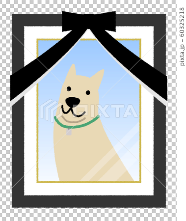 遺影写真 ペット 犬 遺影写真 ペット 犬 60325218