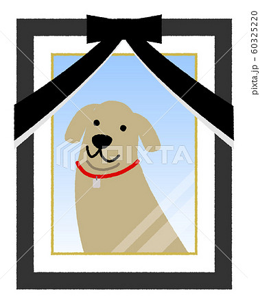 遺影写真 ペット 犬 遺影写真 ペット 犬 60325220