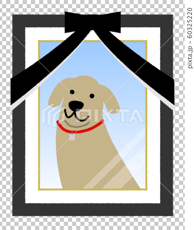 遺影写真 ペット 犬 遺影写真 ペット 犬 60325220