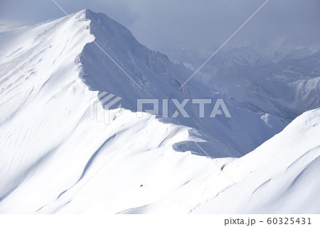 谷川岳のオジカ沢ノ頭への稜線 谷川岳のオジカ沢ノ頭への稜線 60325431