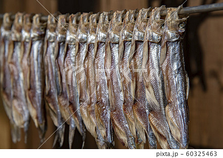 寒風干しの柳葉魚 寒風干しの柳葉魚 60325463