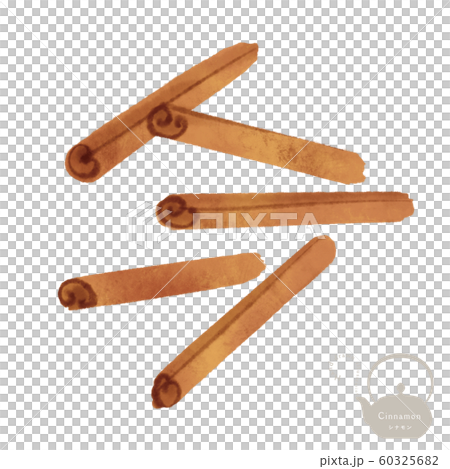 Cinnamon stick / hand-drawn illustration / chinese medicine / medicine Cinnamon stick / hand-drawn illustration / chinese medicine / medicine 60325682