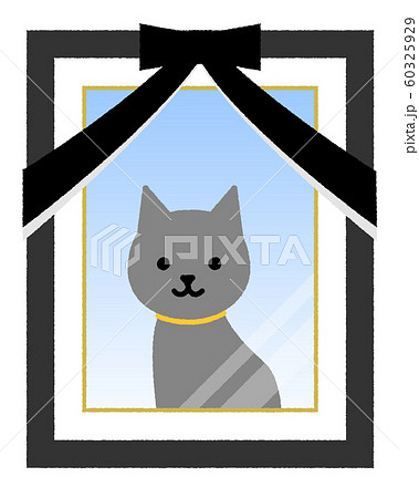 遺影写真 ペット 猫 遺影写真 ペット 猫 60325929