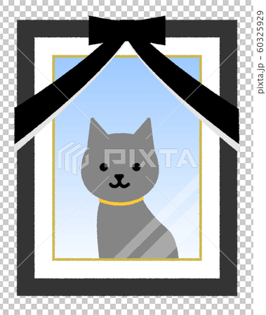 遺影写真 ペット 猫 遺影写真 ペット 猫 60325929