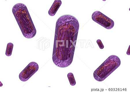 大腸菌のイラスト（透過素材） 60326146