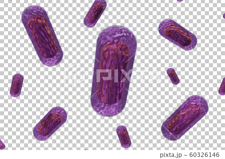 大腸菌のイラスト（透過素材） 60326146