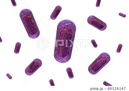 大腸菌のイラスト(透過素材) 大腸菌のイラスト(透過素材) 60326147