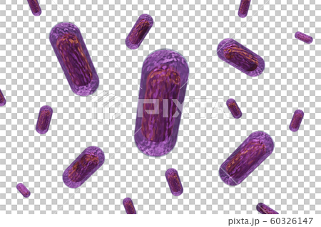 大腸菌のイラスト(透過素材) 大腸菌のイラスト(透過素材) 60326147