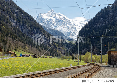 インターラーケンからグリンデルワルドへの道の景色 インターラーケンからグリンデルワルドへの道の景色 60326269