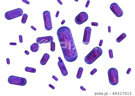 大腸菌のイラスト コンピューターグラフィック のイラスト素材