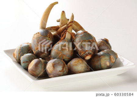 クワイ クワイ 60330584