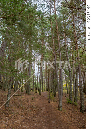 Traveling in Broto mountain Spain Traveling in Broto mountain Spain 60333140