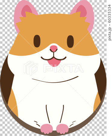 穴から顔を出すゴールデンハムスター 60335334