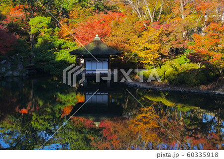 和歌山城公園 西の丸庭園の秋 和歌山県和歌山市 和歌山城公園 西の丸庭園の秋 和歌山県和歌山市 60335918