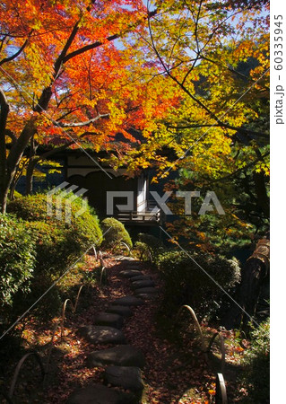 和歌山城公園　西の丸庭園の秋　和歌山県和歌山市 60335945