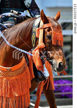 相馬野馬追 60337515
