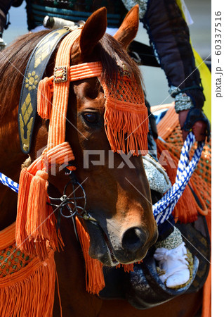 相馬野馬追 60337516