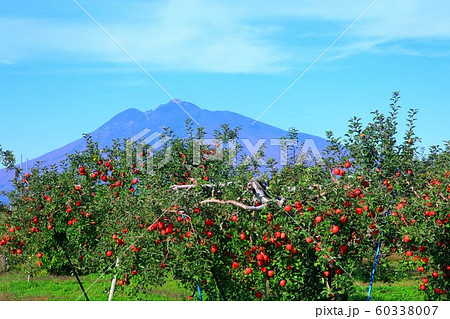 弘前りんご公園 60338007