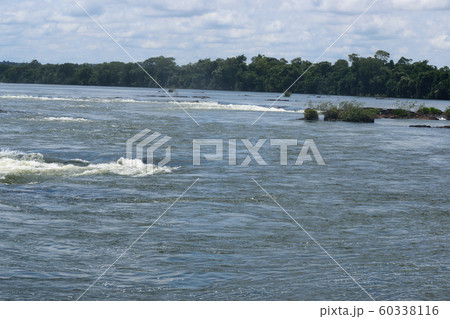 イグアスの滝 すぐ上流 イグアスの滝 すぐ上流 60338116