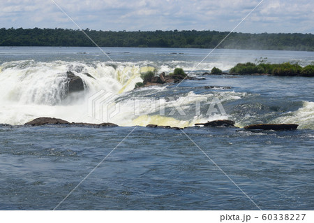 イグアスの滝　すぐ上流 60338227