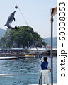 イルカショー 60338353