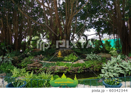 タイ チェンライ ワットロンクン タイ チェンライ ワットロンクン 60342344