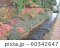 21世紀美術館の横の用水路 60342647