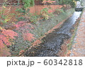 21世紀美術館の隣に流れる用水路 60342818