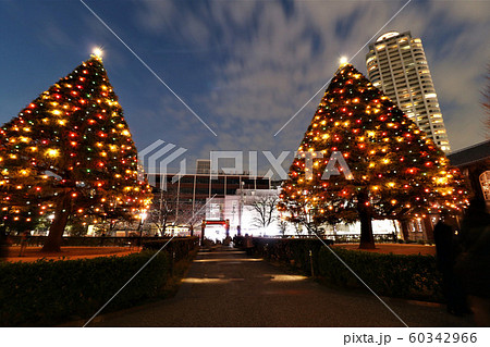 立教大学の巨大クリスマスツリーとザ タワー グランディアの写真素材