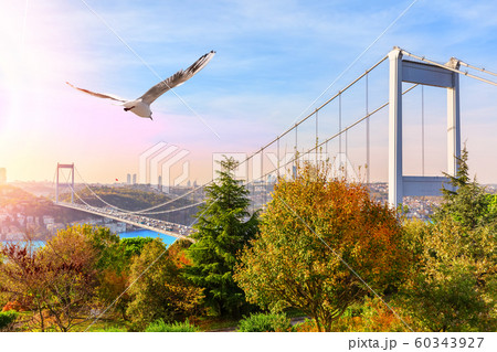 Sultan Fatih Mehmet Bridge, view from the park, Istanbul Sultan Fatih Mehmet Bridge, view from the park, Istanbul 60343927