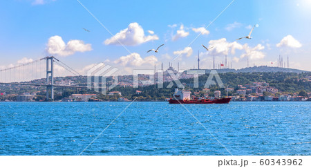 The Bosphorus strait, the bridge and the Asian coast of Istanbul The Bosphorus strait, the bridge and the Asian coast of Istanbul 60343962