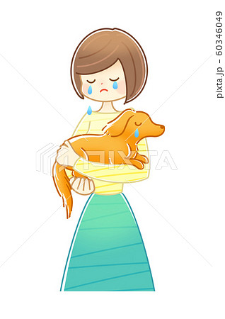 犬を抱く 女性 泣くのイラスト素材