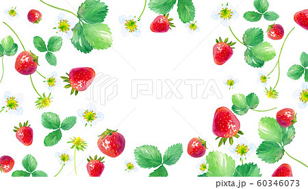 イチゴの水彩イラスト 葉と花と実をちりばめたフレームのパターンのイラスト素材