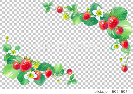 イチゴの水彩イラスト、2隅のフレームデザイン イチゴの水彩イラスト、2隅のフレームデザイン 60346074