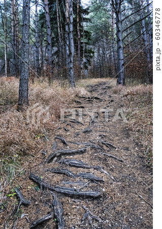 Strazov hill, Strazov Mountains, Slovakia Strazov hill, Strazov Mountains, Slovakia 60346778