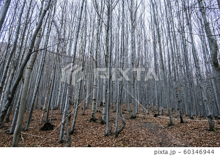 Strazov hill, Strazov Mountains, Slovakia Strazov hill, Strazov Mountains, Slovakia 60346944
