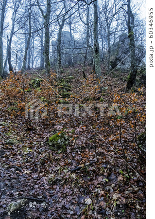 Strazov hill, Strazov Mountains, Slovakia Strazov hill, Strazov Mountains, Slovakia 60346955