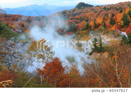 【秋田県】八幡平 蒸ノ湯温泉の紅葉 【秋田県】八幡平 蒸ノ湯温泉の紅葉 60347627