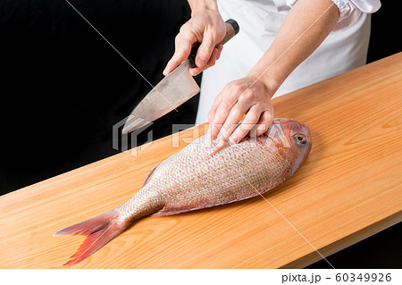 鯛を捌く板前 60349926
