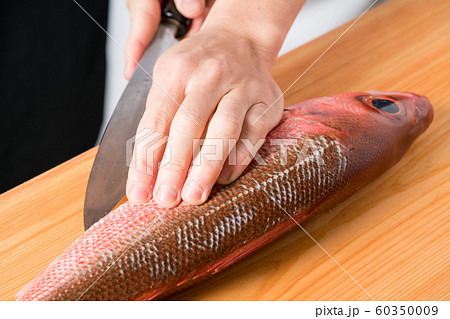 魚を捌く板前（はちびき） 60350009