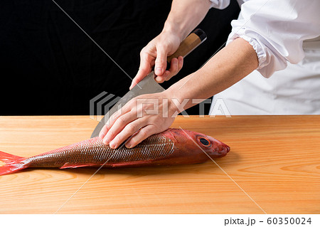 魚を捌く板前 はちびき の写真素材