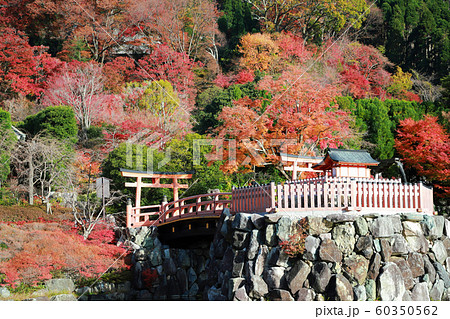 勝尾寺 60350562