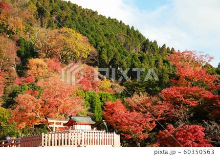 勝尾寺 勝尾寺 60350563
