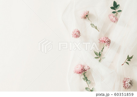 Pink flower on a background. Pink flower on a background. 60351859