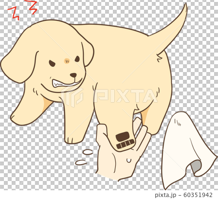 ゴールデンレトリバーの子犬 足拭きを嫌がる のイラスト素材