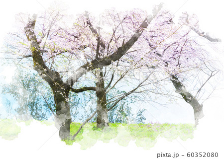 水面に反射した空と桜 水彩画風のイラスト素材